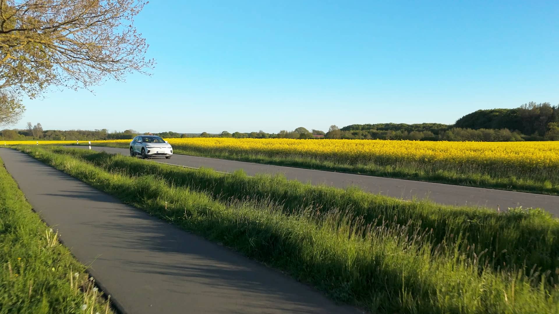Bild über Angeln mit Auto